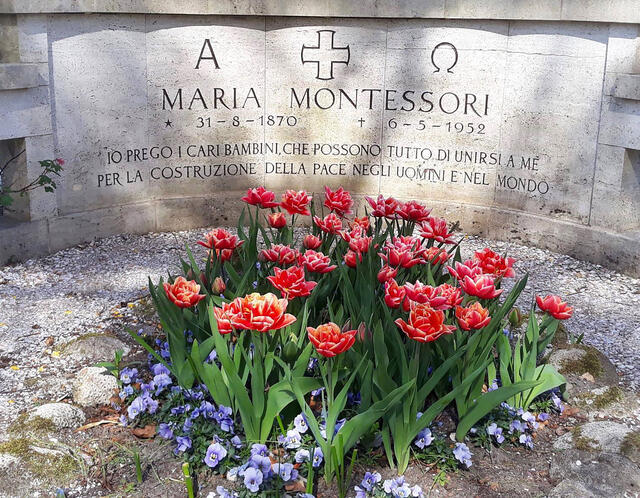 Tulips in bloom by Maria Montessori's grave