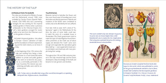 Maria Montessori Tulip Book