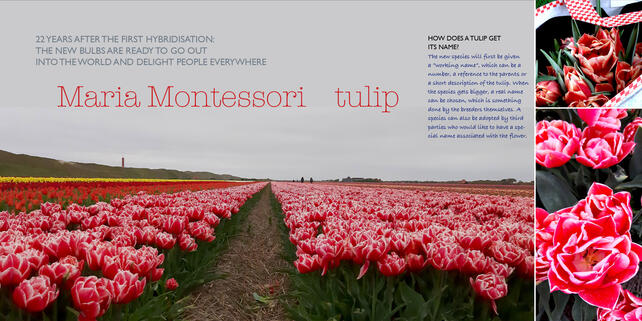 Maria Montessori Tulip Book