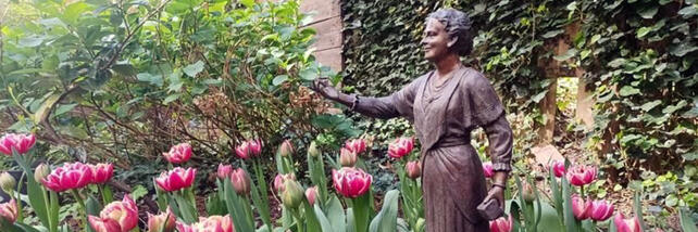 Tulips in bloom in AMI's garden by statue of Maria Montessori